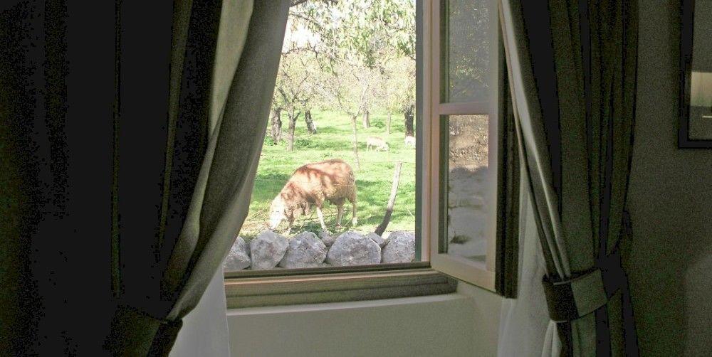 S'Hort De Cas Misser Boutique Hotel (Adults Only) Selva  Bagian luar foto
